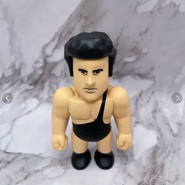 [BUNJANG] Kidrobot WWE Andre the Giant Vinyl Figure / 키드로봇 wwe 앙드레 더 자이언트