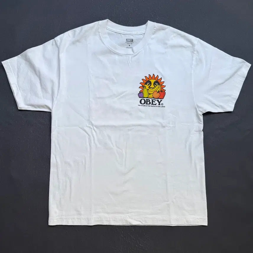 [BUNJANG] OBEY Graphic T-Shirt / OBEY 오베이 그래픽 반팔 | 상태사진확인