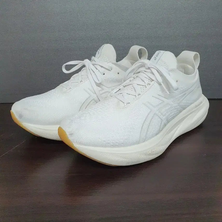 [BUNJANG] Asics Gel Nimbus 25 Running Shoes 255mm / 아식스 젤 님버스 25 러닝화 255mm