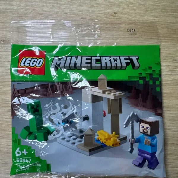 [BUNJANG] LEGO Minecraft Polybag 30647 / 마인크래프트 레고 30647