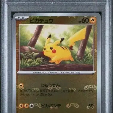 [BUNJANG] Pikachu Master Ball Mirror PSA 9 Graded Card / 일판 151 마스터볼 미러 피카츄 psa9
