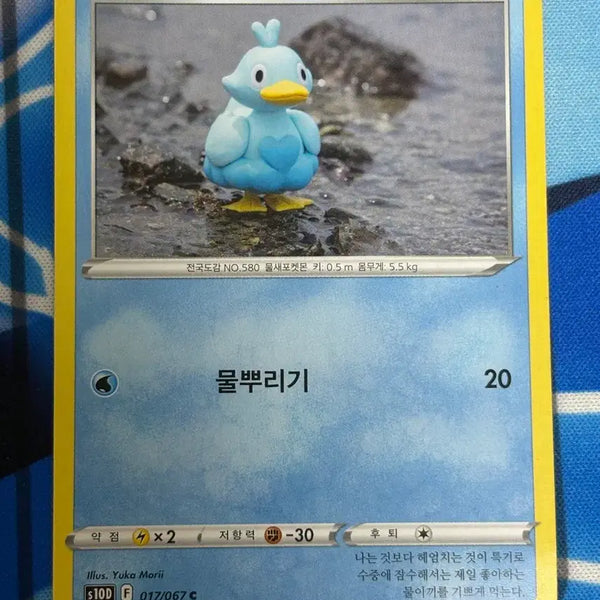 [BUNJANG] Cute Pokemon Card Gorjuss Illustration / [귀여운 포켓몬카드] 꼬지보리 실물 일러