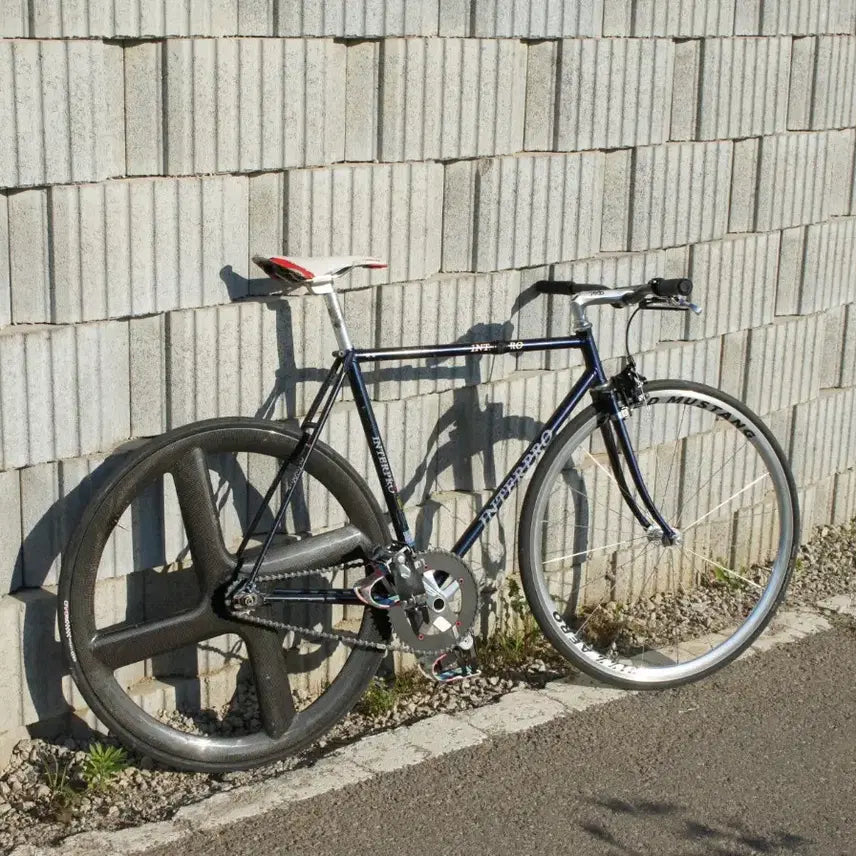 [BUNJANG] Interpro Nagsawa Lug Track Bike / 인터프로 경륜 픽시 자전거