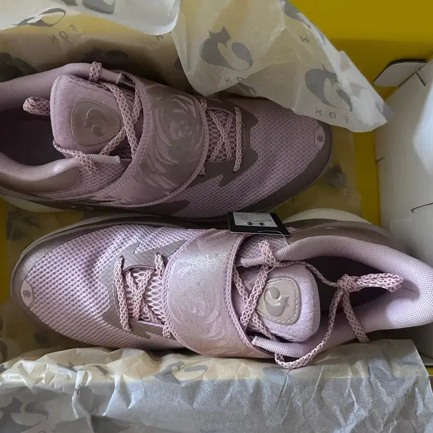[BUNJANG] De'Aaron Fox Basketball Shoes (Size 300) / 디애런 팍스 농구화 300
