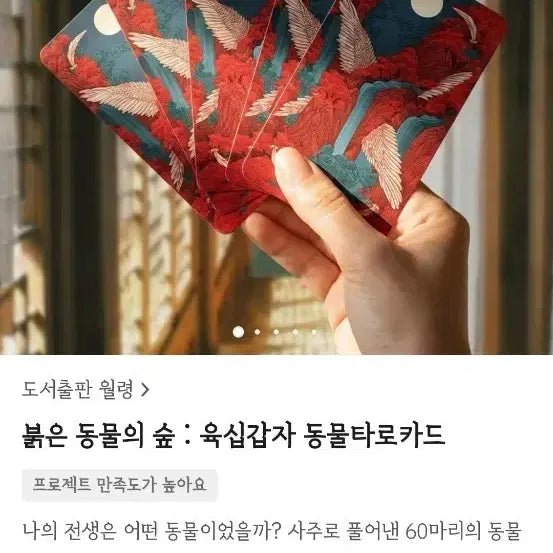 [BUNJANG] Red Animal Forest 60 Animals Tarot Cards / 붉은 동물의 숲 육십갑자 동물 타로카드