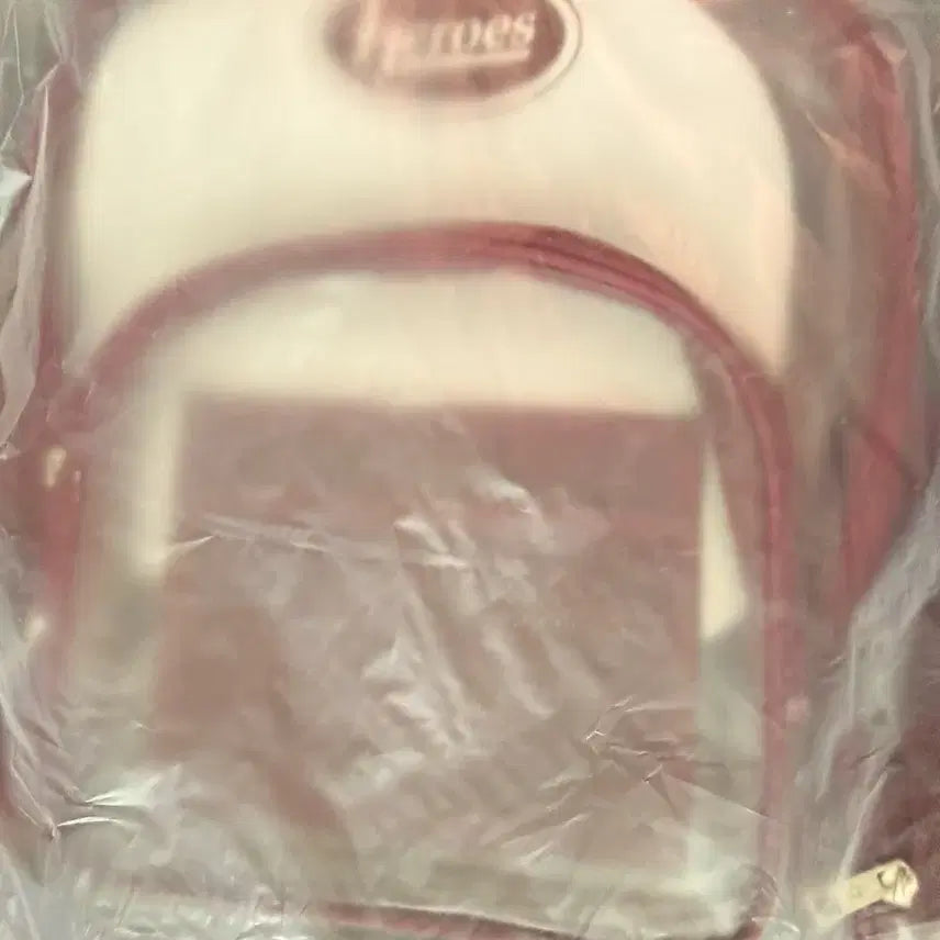 [BUNJANG] Kiwoom Heroes Clear Backpack / 키움 히어로즈 투명 백팩