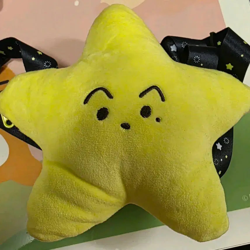 [BUNJANG] NCT Mark Everland Kwangya Makgasari Bag / 엔시티 마크 에버랜드 광야 맠가사리 가방 양도