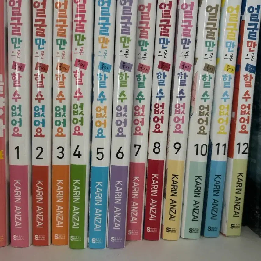 [BUNJANG] Face Value Alone Isn't Enough: Volumes 1-12 / 얼굴만보고 좋아할수 없어요 1~12