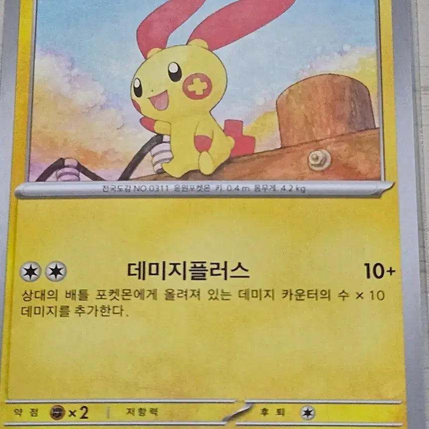 [BUNJANG] Pokemon Card Plush, Mayonung / 포켓몬 카드 플러시, 마이농