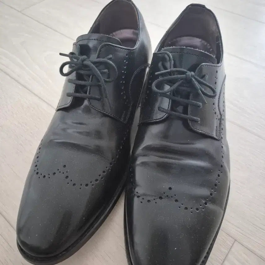 [BUNJANG] XENIA 7cm Height-Increasing Shoes Size 255mm / XENIA 7센티 키높이구두 255MM