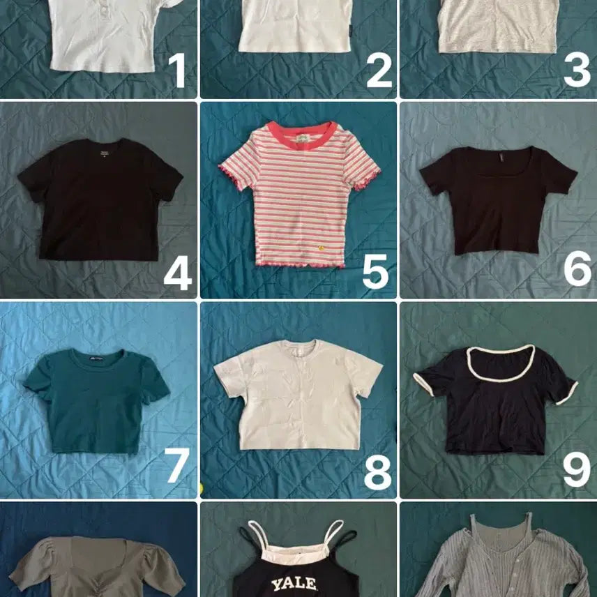 [BUNJANG] Cropped T-shirts (Various Brands) / 크롭티 반팔 에이블리 자라 무신사 지그재그