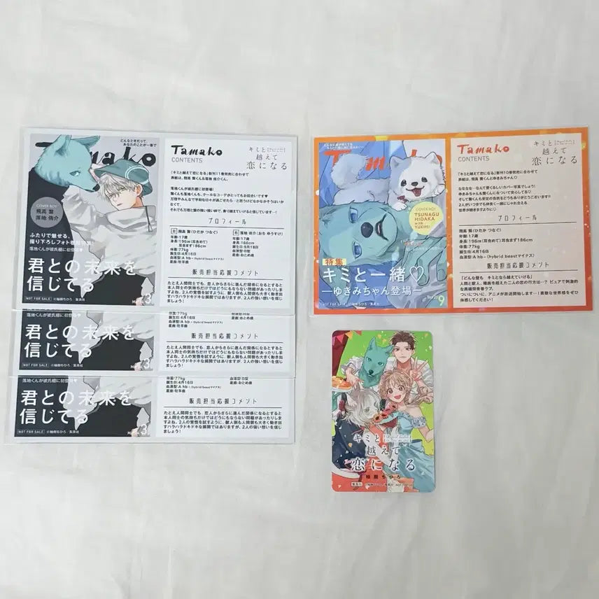 [BUNJANG] Tsutaya Lucky Draw Photocard Set (4) + Illustration Card / 너와 넘어 사랑이 된다 츠타야 특전 4장 + 일러스트 카드