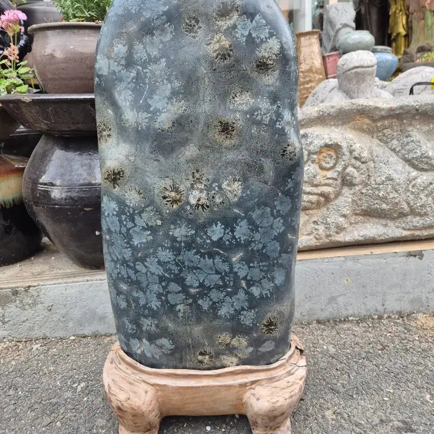 [BUNJANG] Cheongsong Flower Stone - Eternal Prosperity and Wealth / 영원히 시들지않는 부귀영화 청송꽃돌 (소장품)