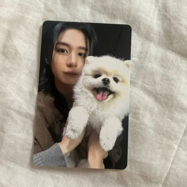[BUNJANG] BOYNEXTDOOR Weverse POB Leehan Photocard / 보넥도 홈 위버스 특전 이한포카 양도