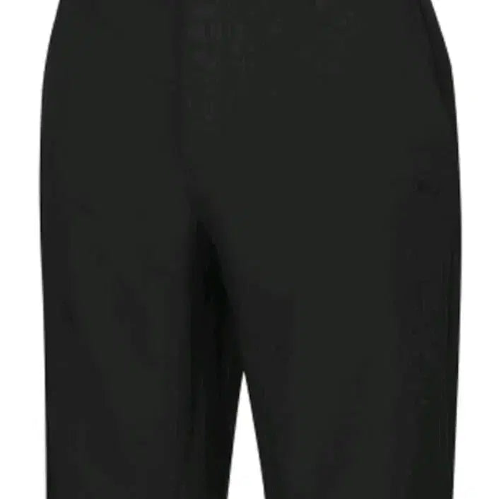 [BUNJANG] Puma Rickie Fowler Golf Shorts / 리키파울러 PUMA 골프반바지 새제품 32 34