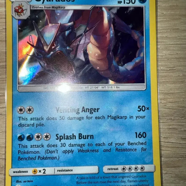 [BUNJANG] Pokémon TCG Gyarados North American 9-Year-Old Card / 포켓몬스터 카드 갸라도스 북미 9년전카드