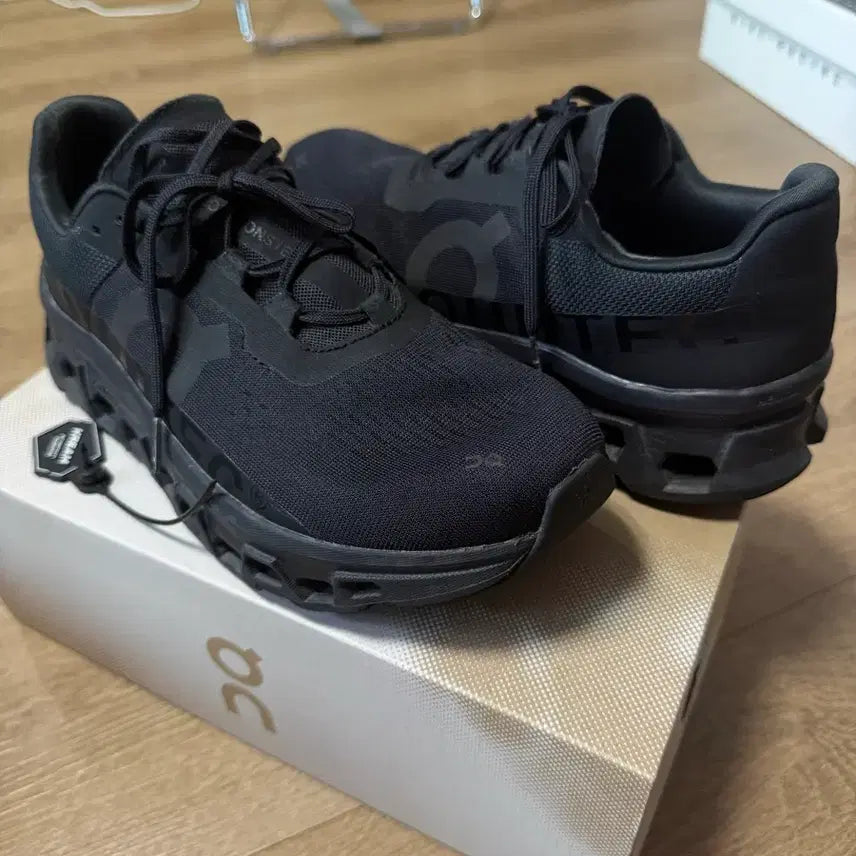 [BUNJANG] On Cloudmonster Running Shoes / on 클라우드 몬스터 1 275