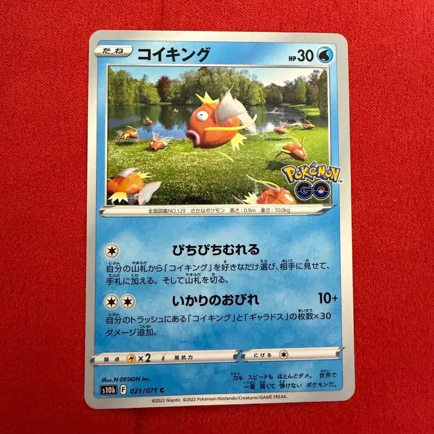 [BUNJANG] Gyarados Pokemon Card / 포켓몬고 잉어킹 팝니다!