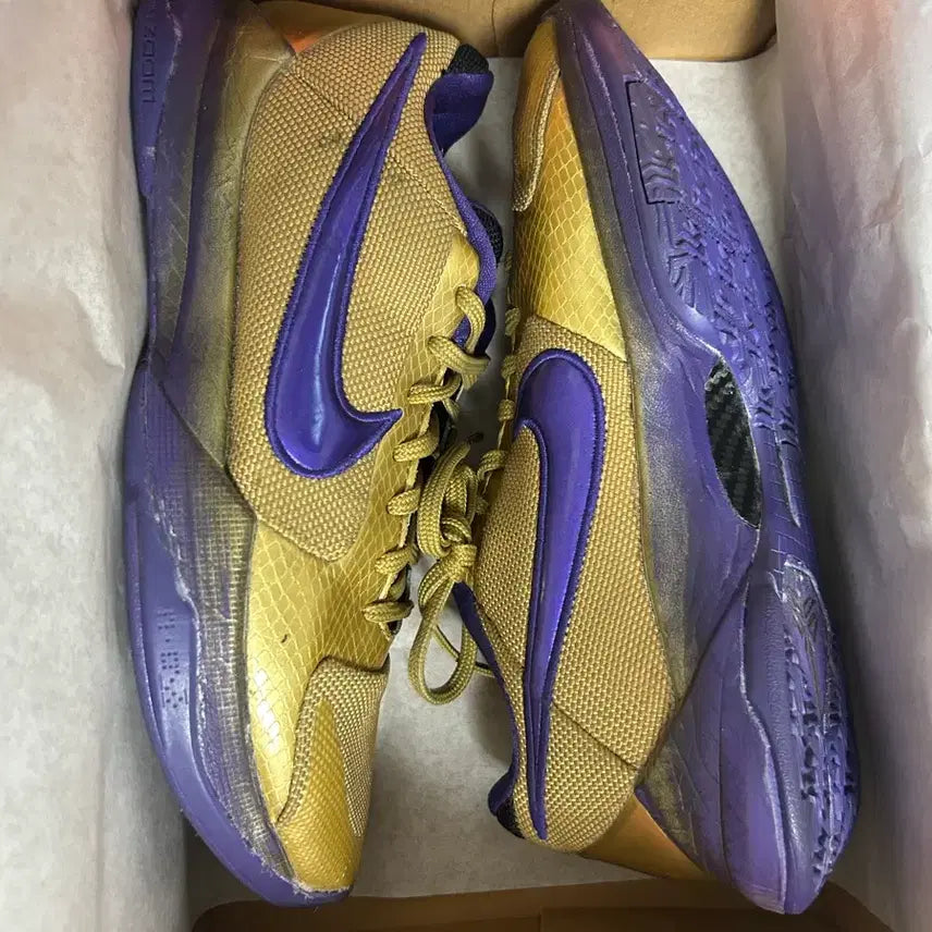 [BUNJANG] Nike Kobe 5 Hall of Fame (US 8, Used) / 코비 5 Hall of fame