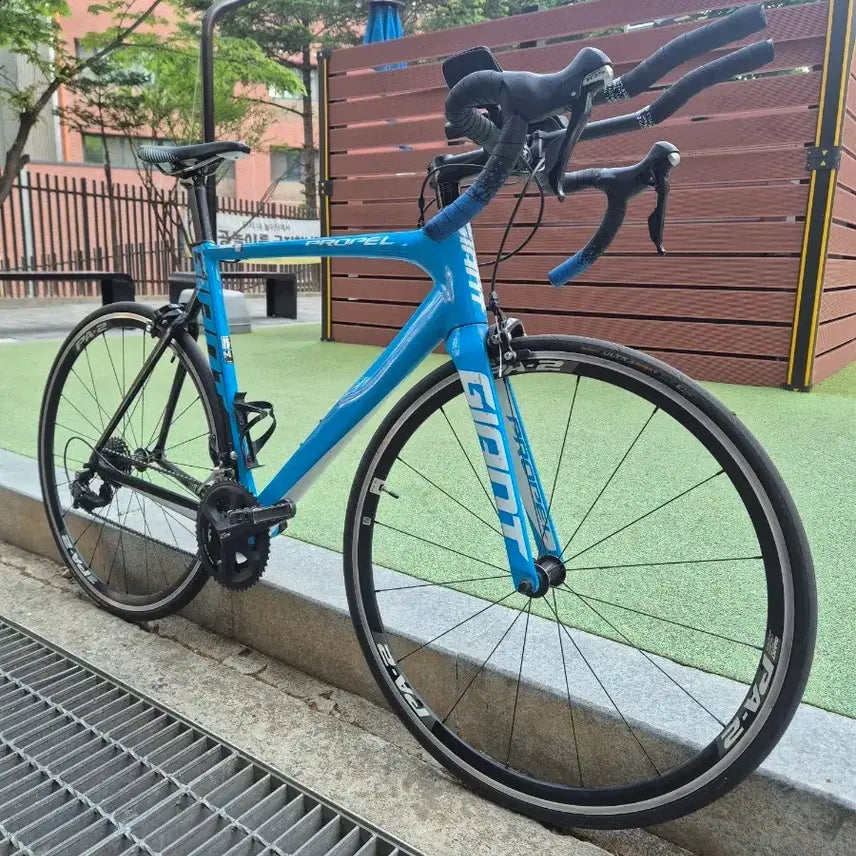 [BUNJANG] Giant Propel SLR 2 / 자이언트 프로펠 slr2과 추금으로 대차봅니다.