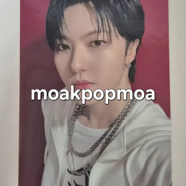 [BUNJANG] Xikers Jeonghun OK Official Photocard / 싸이커스 정훈 오케이 공방 포카 3주차 양도 판매 wts xikers