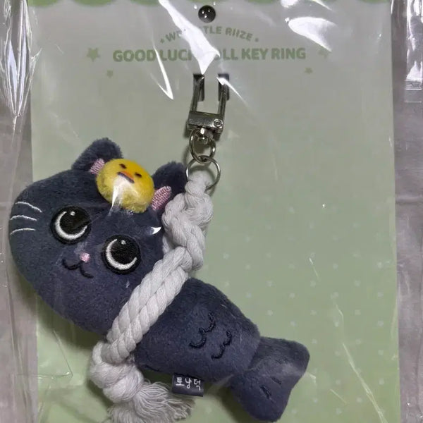 [BUNJANG] RIIZE Wonbin Acermint To-nyangdeok Photocard Holder / 라이즈 원빈 액막이 토냥덕