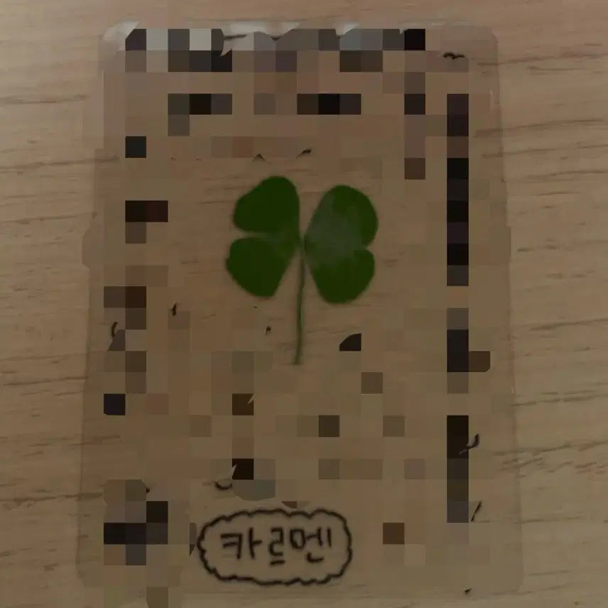 [BUNJANG] HATSUTOHATSU Carmen Four-Leaf Clover Lucky Draw Photocard / 하츠투하츠 하투하 카르멘 친필 네잎클로버 럭키카드 포카 포토카드