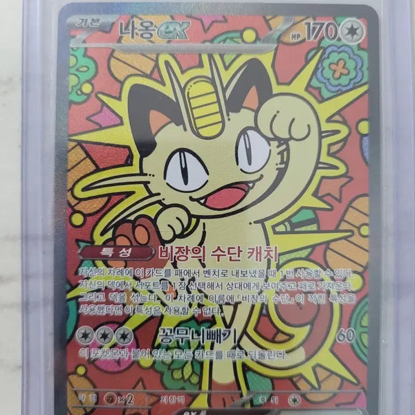 [BUNJANG] Pokemon Card Meowth ex SAR / 포켓몬카드 나동ex sar 등카용
