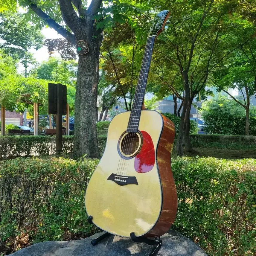 [BUNJANG] Dame Lilies 70 Acoustic Guitar (New Model) / 입문용 데임 통기타 신형 인기제품기타 판매합니다