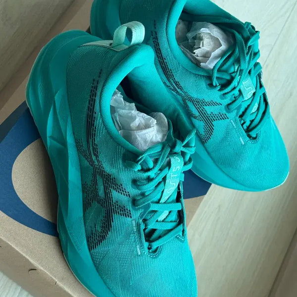 [BUNJANG] Asics NovaBlast 5 Running Shoes (255mm) / 아식스5 노바블라스트5 255