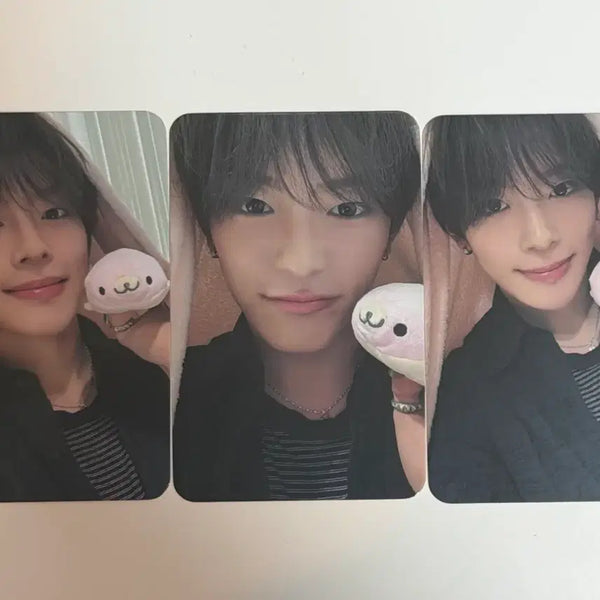 [BUNJANG] MINYOUNG Sealed Photocard Bundle Set / 강민 미개봉 포토카드