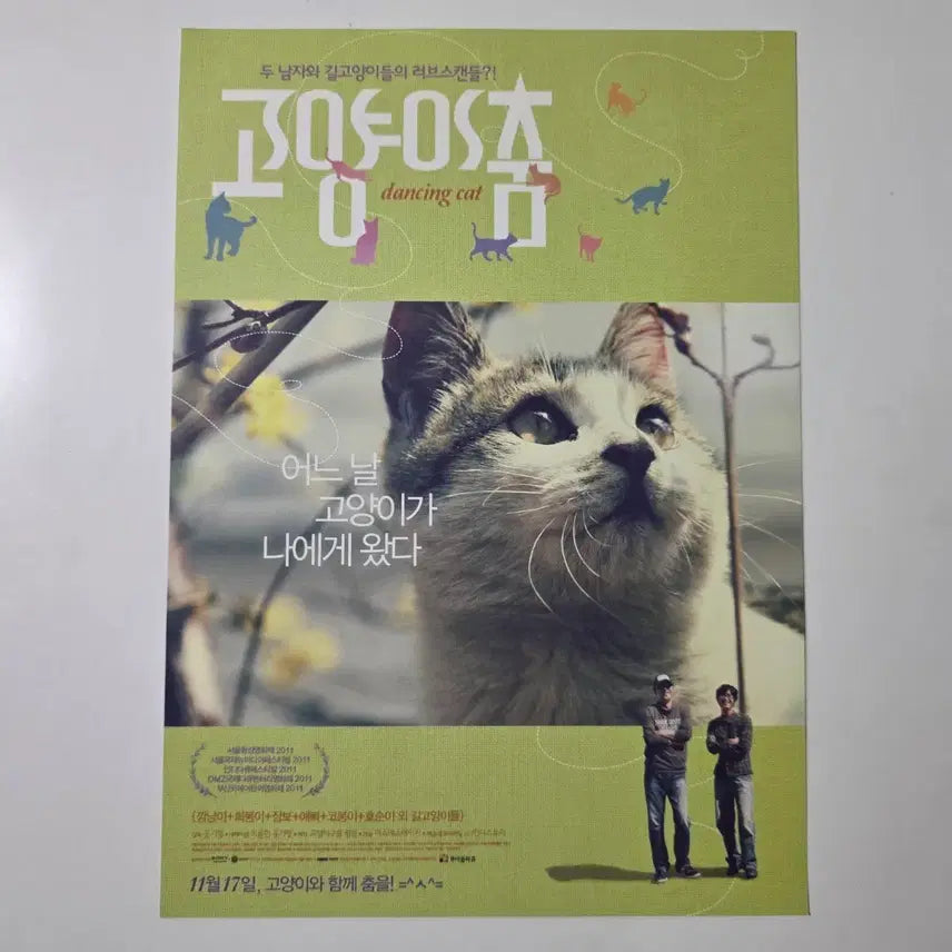 [BUNJANG] Cat Dancing Flyer 2011 / [전단지] 고양이 춤 2011