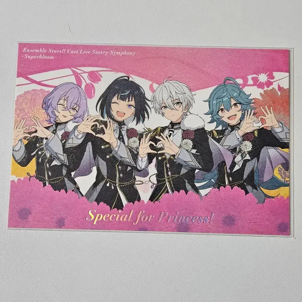 [BUNJANG] Ensemble Stars!! Kanna Reika Esprit Starpony Live Viewing POB / 앙스타 후유메 유메 에스 칸나 라이카 에스프리 스타포니 라이브뷰잉 특전