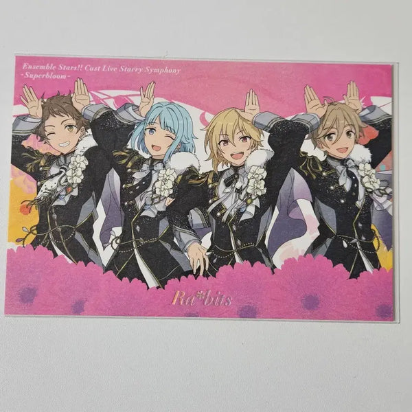 [BUNJANG] Ensemble Stars! Rabbits Mitsuru Hajime Nazuna Tomoya Star Pony POB / 앙스타 미츠루 하지메 나즈나 토모야 라빗츠 라비츠 스타포니 특전