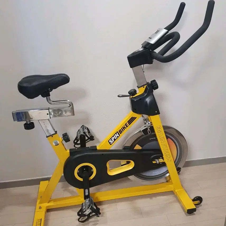 [BUNJANG] Igojin Silent Spin Bike Cycle / 고급 무소음 이고진 스핀 바이크 사이클 자전거