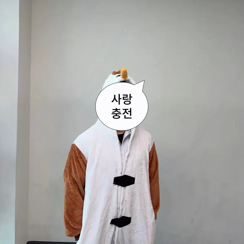 [BUNJANG] Olaf Pajamas / 올라프 파자마