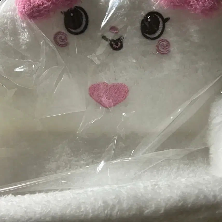 [BUNJANG] Pangyi Character Doll Tray / 팡이 트레이
