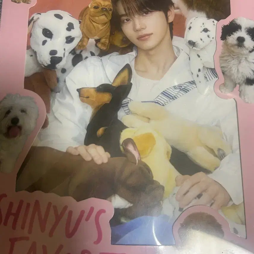 [BUNJANG] Sinyu Birthday Box Favorite Box Photocard Set / 투어스 신유 생일박스 페이보릿 박스 미개봉