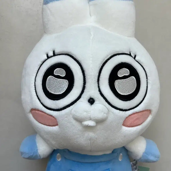 [BUNJANG] So-Sim-Han Ho-Rain-Yi Koko Toto Rabbit Plush 28cm / 소심한 호랭이 코코 토끼 토토 인형 28cm 새상품