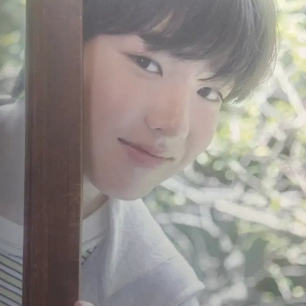 [BUNJANG] NCT WISH Sakuya Our Summer Wish Exhibition Photobook / nct wish 엔시티위시 사쿠야 아워 썸머 위시 전시 포토북