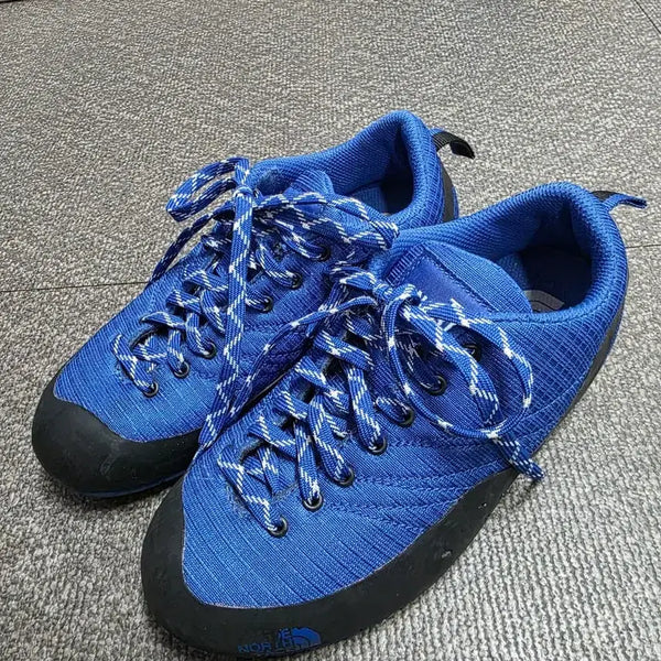 [BUNJANG] The North Face Technical Low Profile Copcore Ridge Shoes / [230] 노스페이스 테크니컬 로우프로파일 코프코어 릿지화