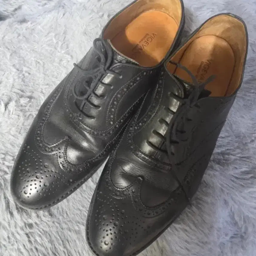 [BUNJANG] BJeva Men's Wingtip Shoes Black 255 / 비제바 남성 윙팁 구두 블랙 255 상태좋아요