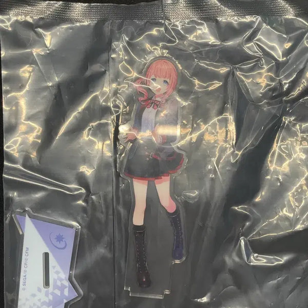 [BUNJANG] Sega Prize Project SEKAI Honami Mochizuki Can Badge & Acrylic Stand / 세가 쿠지 프세카 D,F상 캔뱃지, 아크릴 모치즈키 호나미