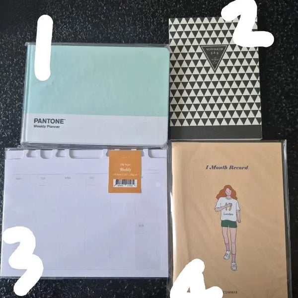 [BUNJANG] Pantone Monthly & Weekly Planner, 365 Scheduler, Weekly Clip Paper, Monthly Planner / 각종 플래너 팬톤 먼슬리 위클리