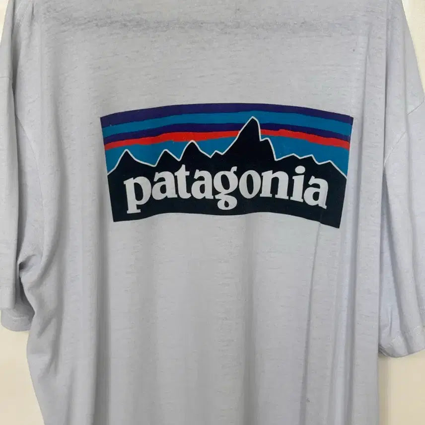 [BUNJANG] Patagonia Short Sleeve T-Shirt XL / 파타고니아 반팔 XL
