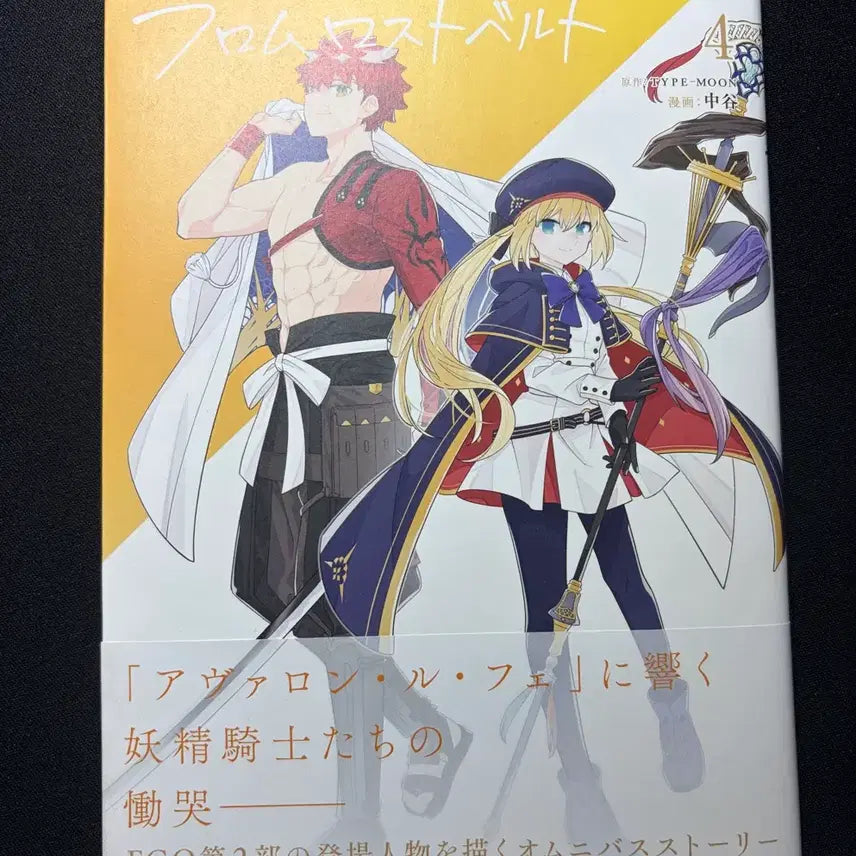 [BUNJANG] Fate/Grand Order Original Manga / 페이트 페그오 원서 만화책