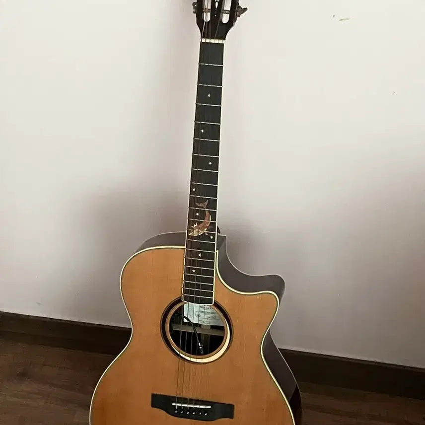 [BUNJANG] Crafter Mind W Prestige Acoustic Guitar / 크래프터 마인드 w prestige