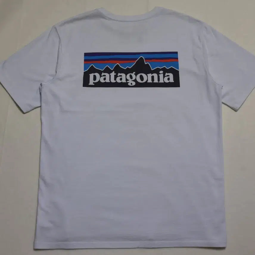 [BUNJANG] Patagonia Responsibili-Tee T-Shirt M / 파타고니아 리스폰서빌리티 반팔 티셔츠 그레이 M
