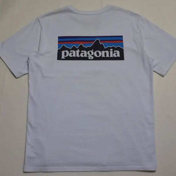 [BUNJANG] Patagonia Responsibili-Tee T-Shirt M / 파타고니아 리스폰서빌리티 반팔 티셔츠 그레이 M