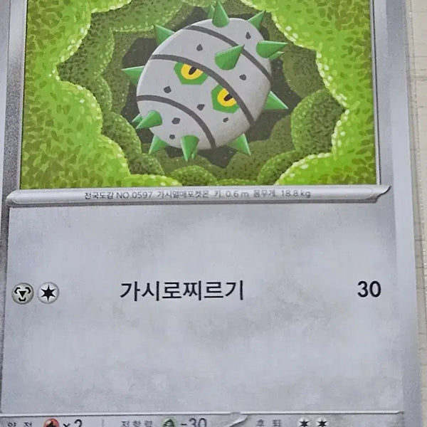 [BUNJANG] Pokemon Cards Chespin & Quilladin / 포켓몬 카드 철시드, 너트령